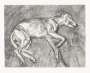 Lucian Freud: Eli - Signed Print