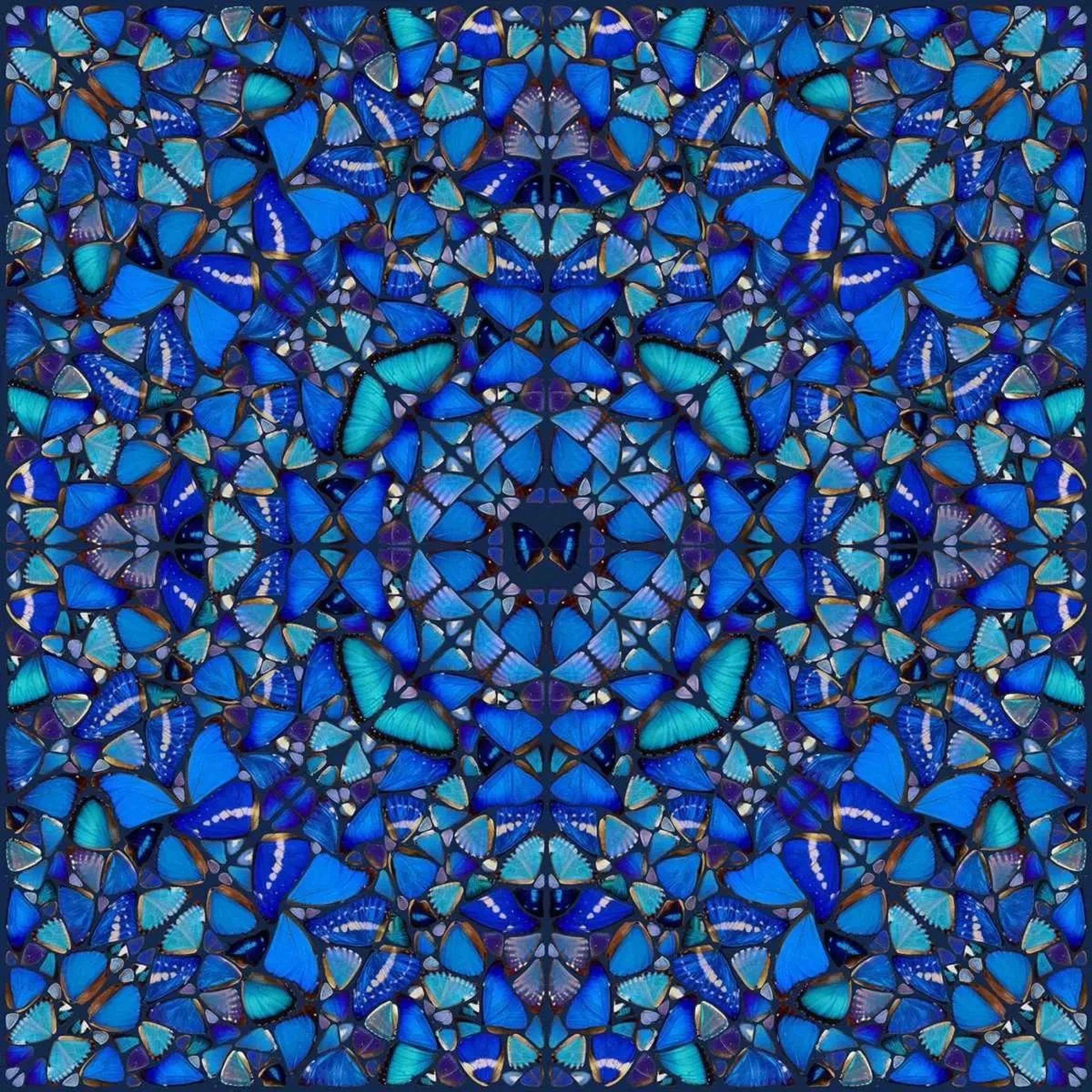 H6-3 Patience de Damien Hirst