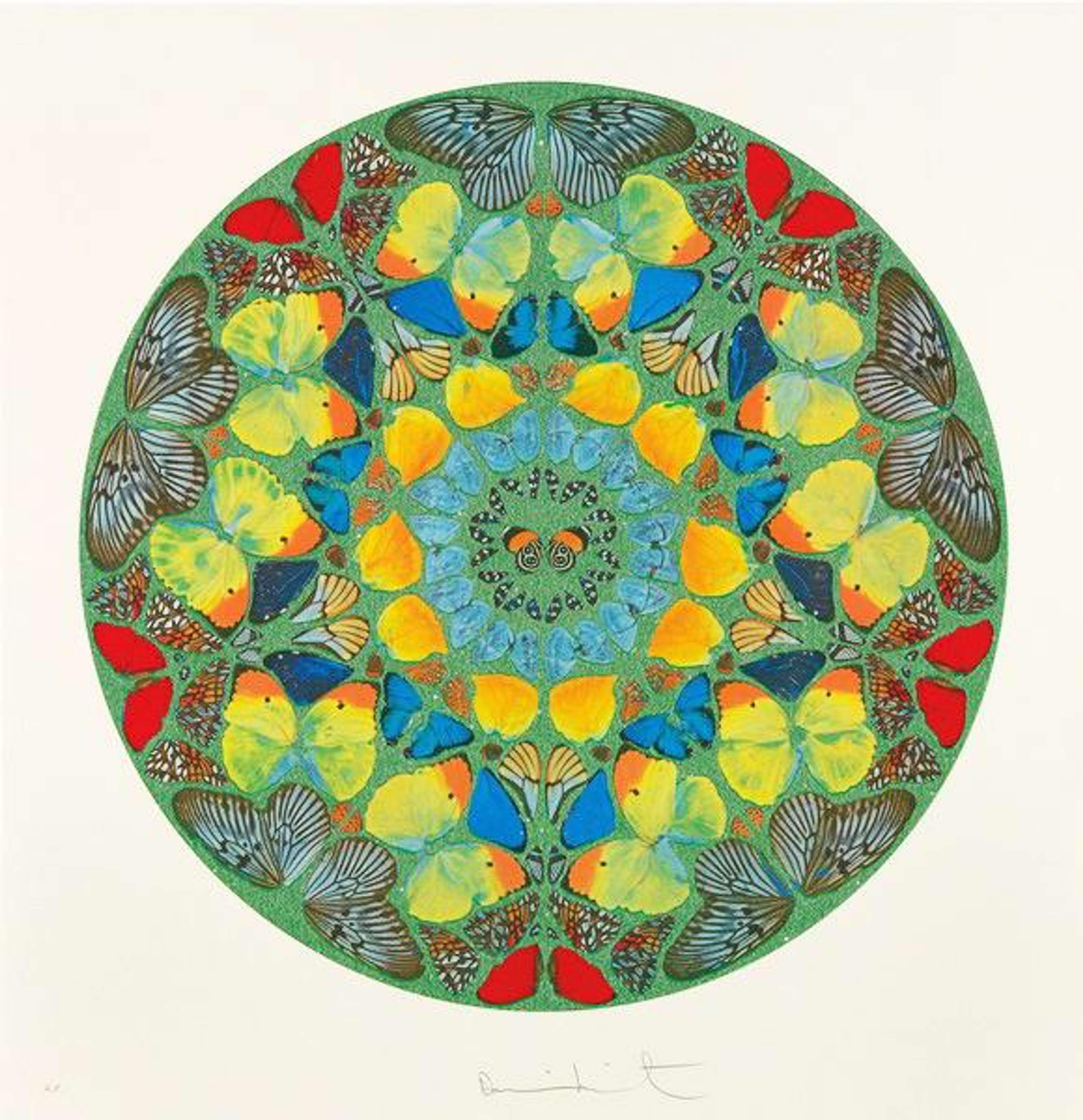 Plusieurs ailes de papillon disposées pour créer un motif circulaire rappelant un mandala, sur un fond vert jade.