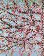 Damien Hirst: H9-7 Loyalty - Signed Print