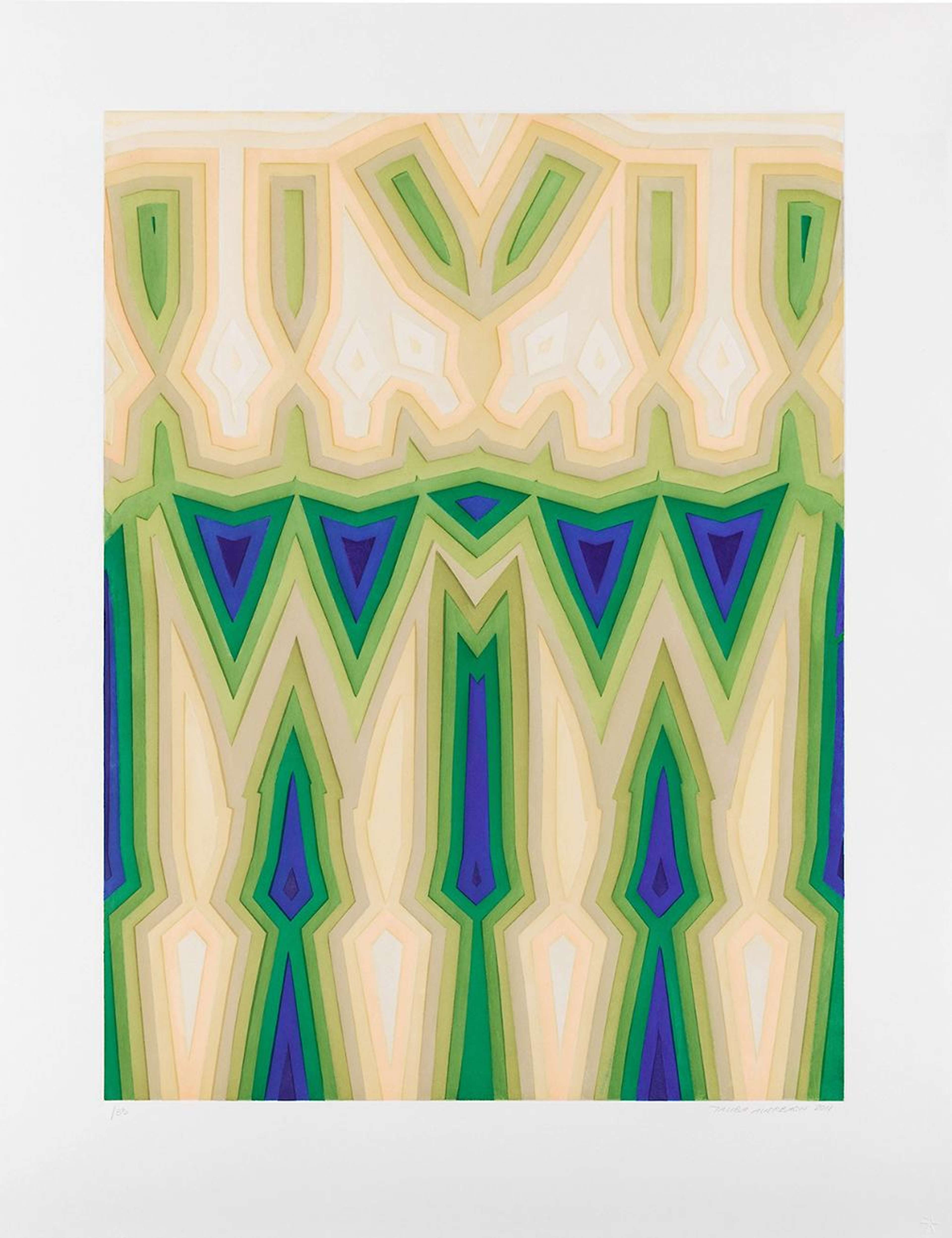 Fold Slice Topo II - Signed Print by Tauba Auerbach 2011 - MyArtBroker