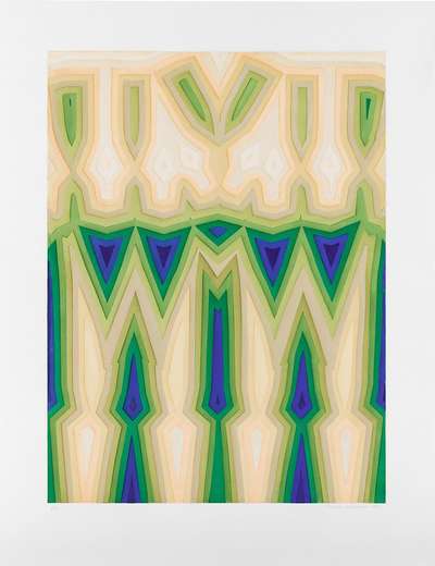 Fold Slice Topo II - Signed Print by Tauba Auerbach 2011 - MyArtBroker