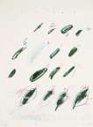 Fagus Silvatica - Signed Print