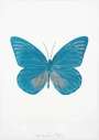 Damien Hirst: The Souls I (topaz, silver gloss) - Signed Print