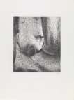 Elephant Skull XX - Signed Print