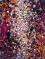 Takashi Murakami: Know Not Know - Signed Print