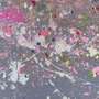 Damien Hirst: H13-8 Woody Bay - Signed Print