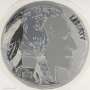 Andy Warhol: Indian Head Nickel (F. & S. II.385) - Signed Print