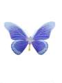 Damien Hirst: The Souls IV (Westminster blue, cornflower blue, African gold) - Signed Print