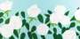 Alex Katz: White Roses - Signed Print