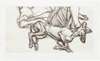Freud's Dogs