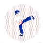 Invader: Kung Fu - Signed Print