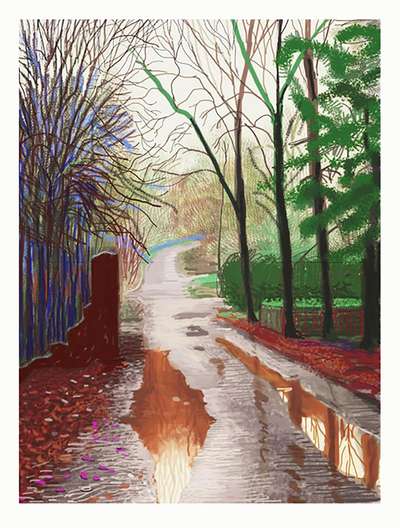 The Arrival Of Spring In Woldgate, East Yorkshire In 2011 (twenty eleven) - 29 December, No. 2 - Signed Print by David Hockney 2011 - MyArtBroker