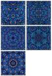 H6 The Aspects (complete set) - Signed Print