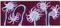 Yayoi Kusama: Night Flowers A - Signed Print