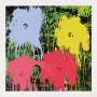 Mr Brainwash: Flowarh$ IV - Signed Print