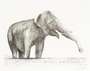 Henry Moore: Elephant - Signed Print