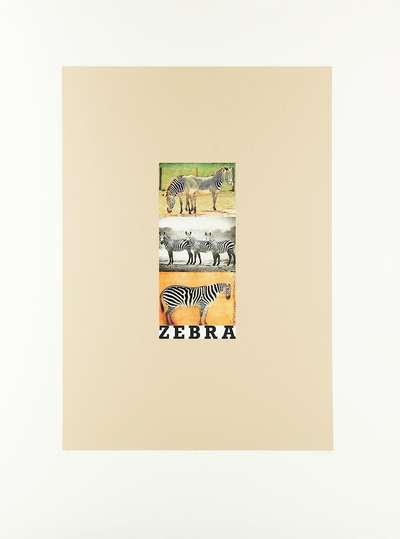 Z Is For Zebra - Signed Print by Peter Blake 1991 - MyArtBroker
