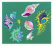 Shells - Signed Print