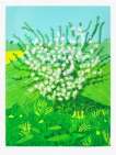 The Arrival Of Spring In Woldgate, East Yorkshire In 2011 (twenty eleven) - 30 April - Signed Print