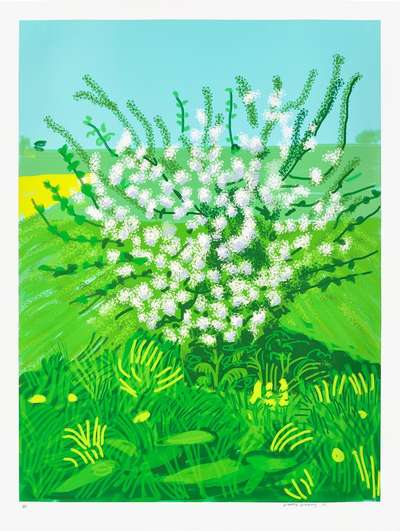 The Arrival Of Spring In Woldgate, East Yorkshire In 2011 (twenty eleven) - 30 April - Signed Print by David Hockney 2011 - MyArtBroker