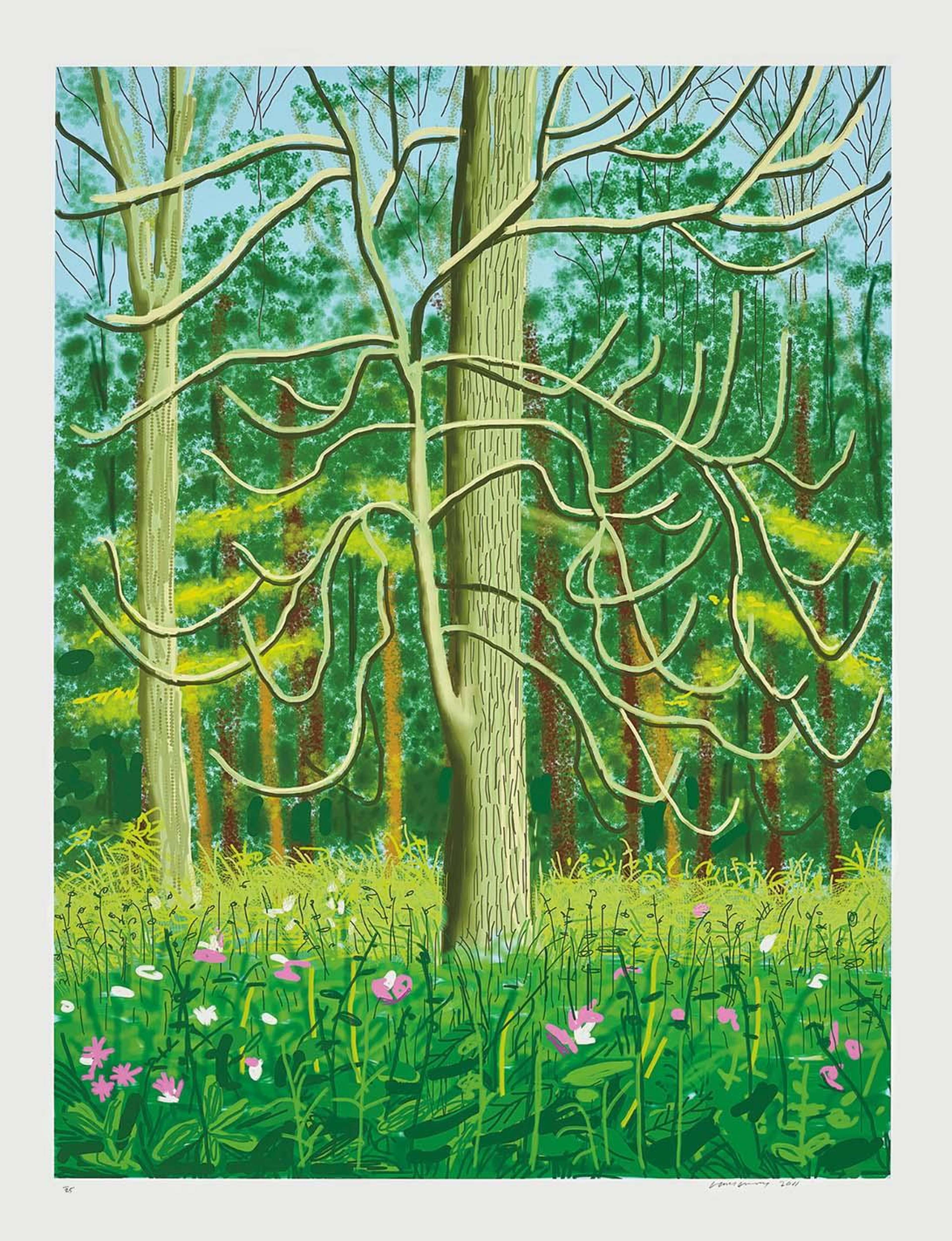 Ipad drawing of a tree in a green forrest, with expressive brushstrokes.