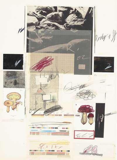 Plate X (from Natural History Part I - Mushrooms) - Signed Print by Cy Twombly 1974 - MyArtBroker