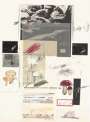 Cy Twombly: Plate X (from Natural History Part I - Mushrooms) - Signed Print