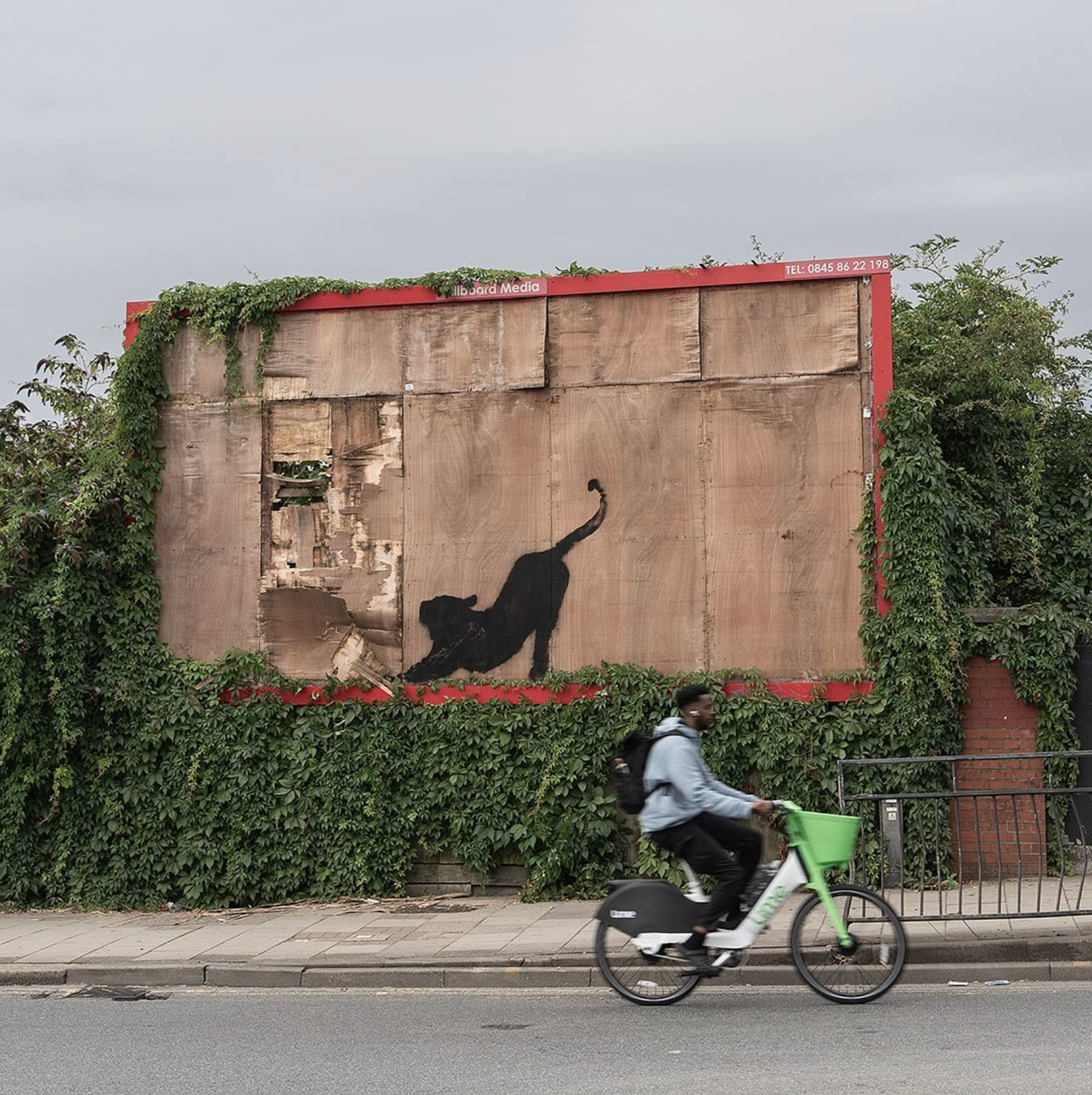 Le grand félin de Banksy, une panthère, peint au pochoir sur un panneau d'affichage désaffecté de Edgware Road