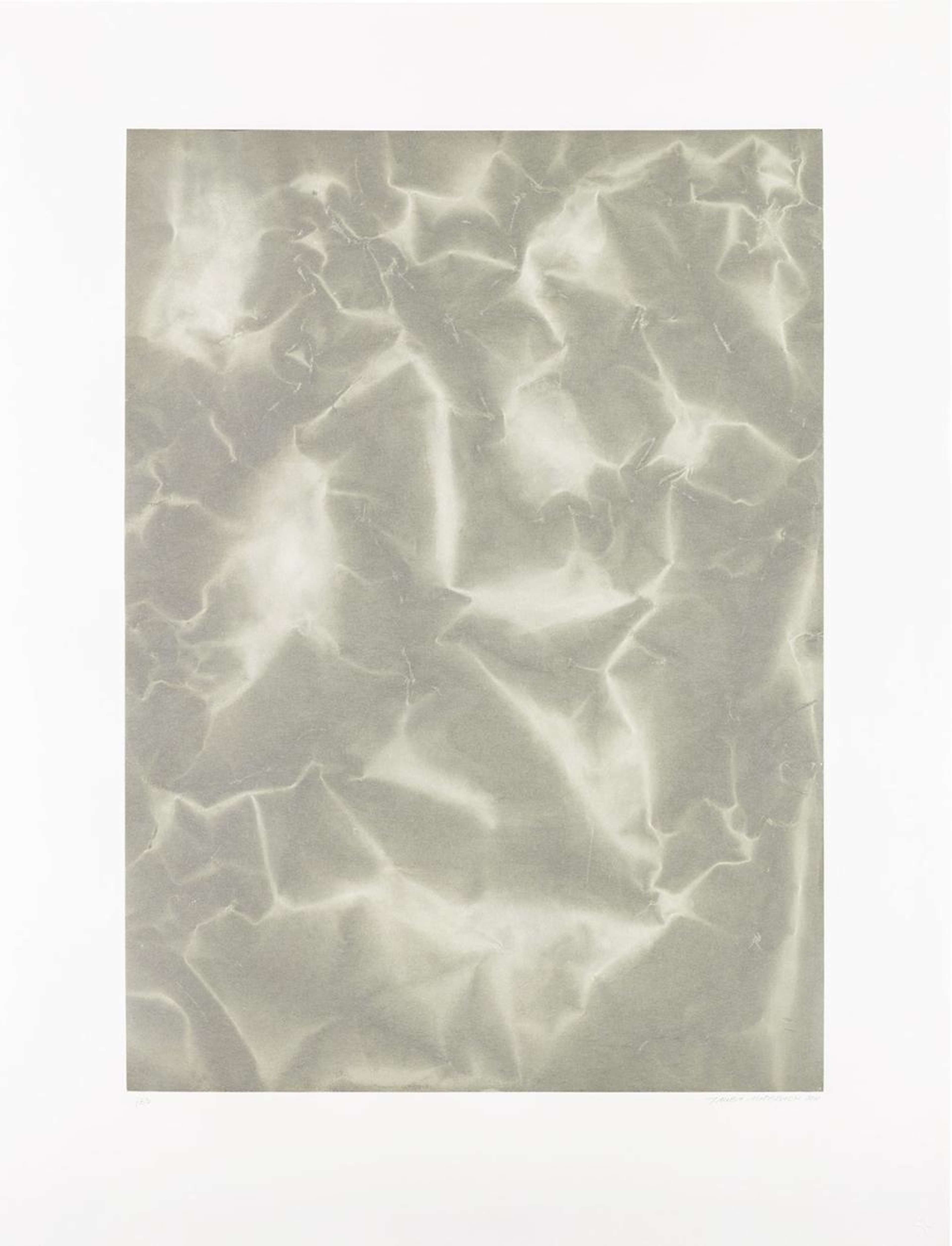 Plate Distortion II - Signed Print by Tauba Auerbach 2011 - MyArtBroker