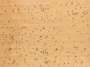 Ed Ruscha: Black Ants - Signed Print