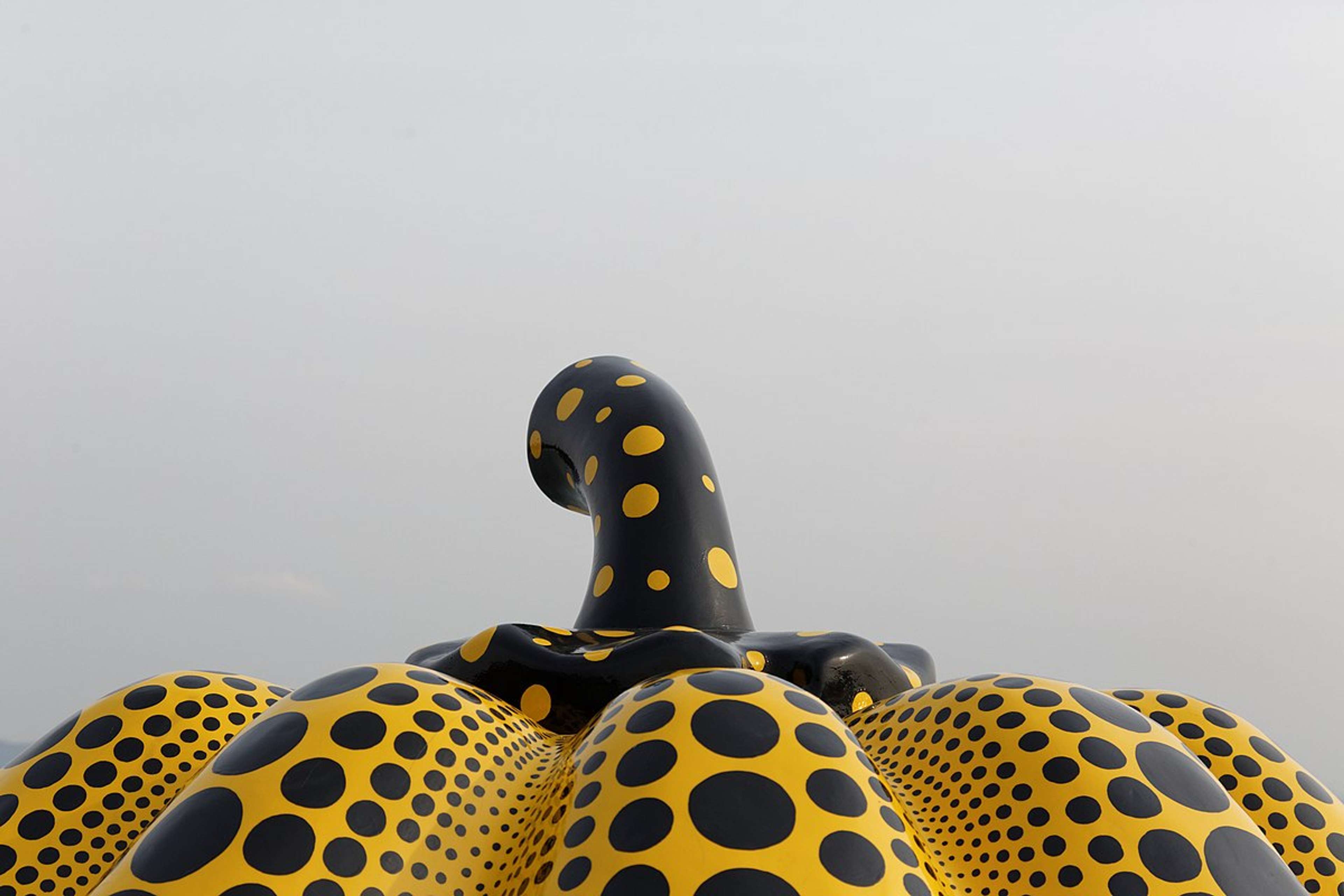 Photographie couleur montrant le sommet d'une sculpture « Pumpkin » noire et jaune de Yayoi Kusama, sur fond blanc.