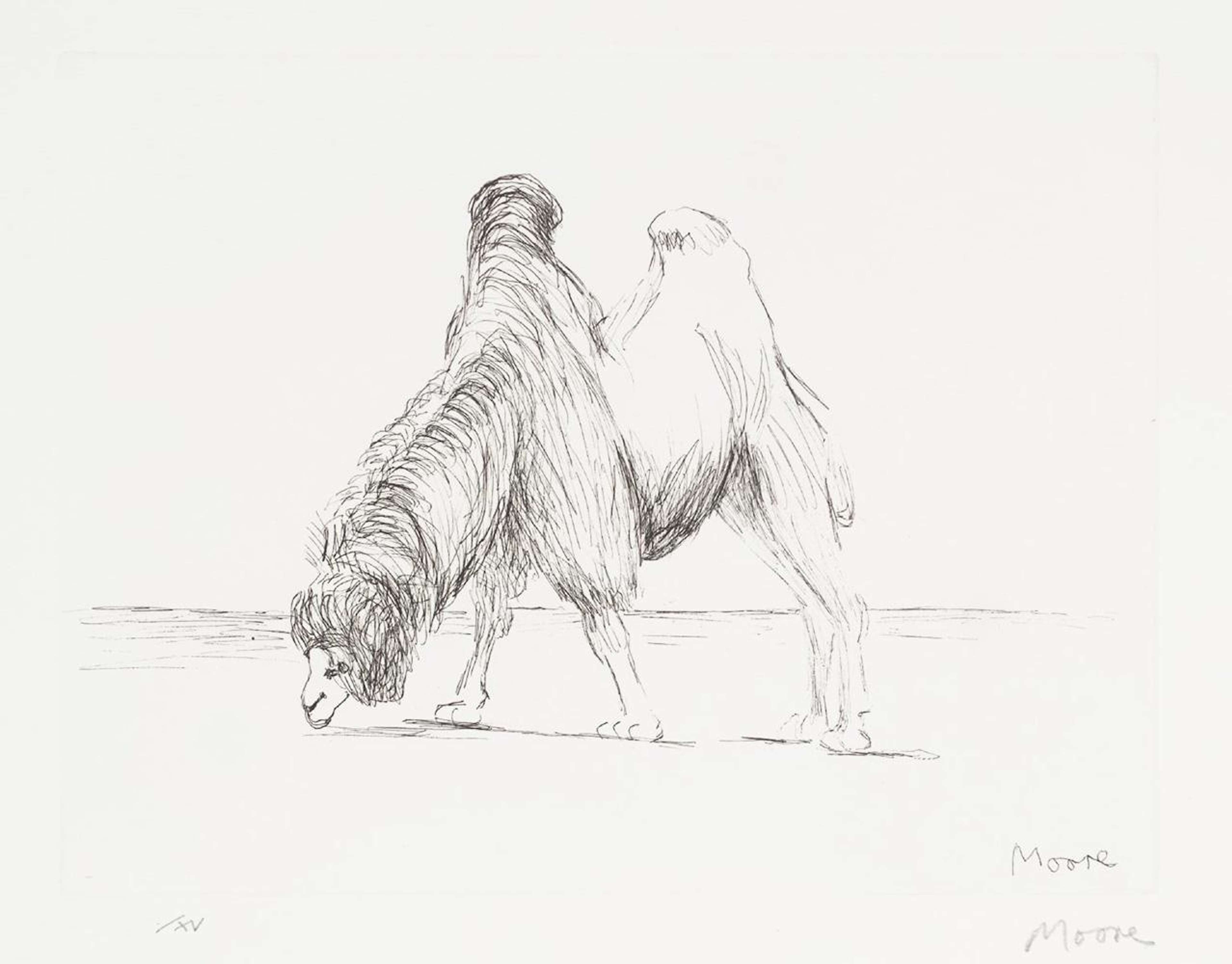 Dromedary - Signed Print by Henry Moore 1981 - MyArtBroker