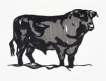Bull I - Signed Print