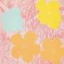 Andy Warhol: Flowers (F. & S. II.70) - Signed Print