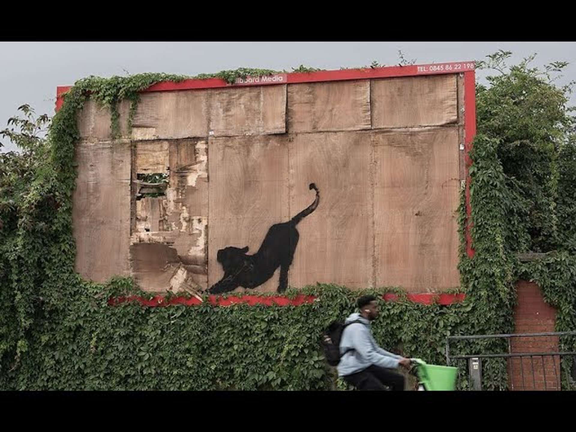 Banksy London Zoo Animal Murals : Radio 4 interroge le spécialiste Banksy de MyArtBroker