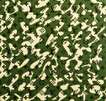 Monogramouflage (green) - Signed Print
