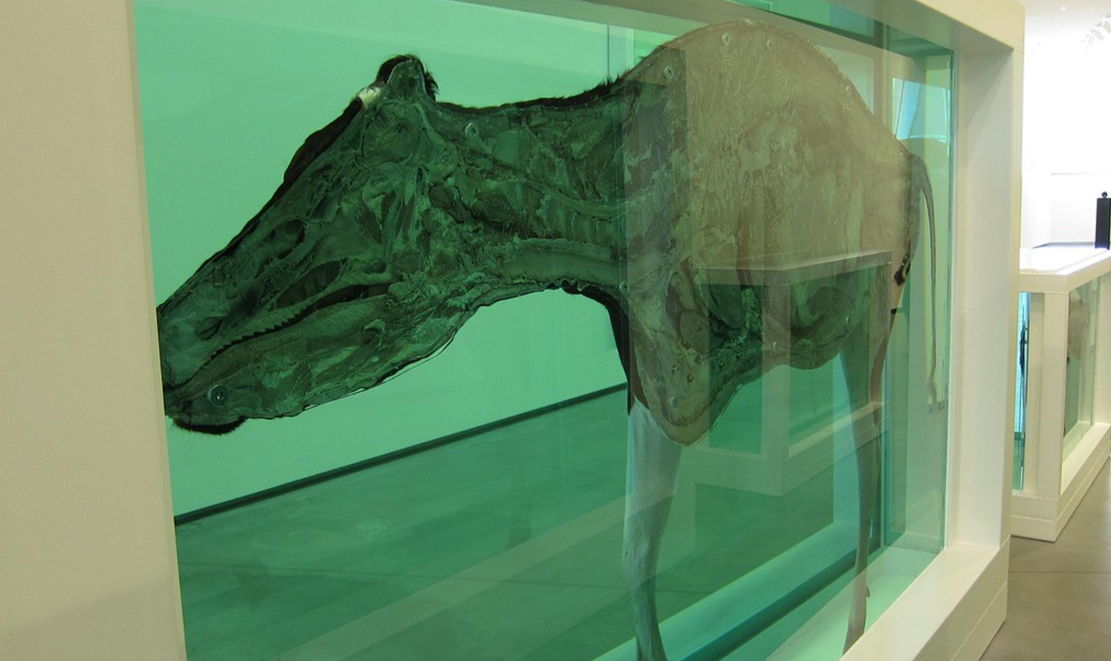 Mère et Enfant Divisé par Damien Hirst