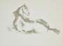 Elisabeth Frink: Lying Down Horse - Signed Print