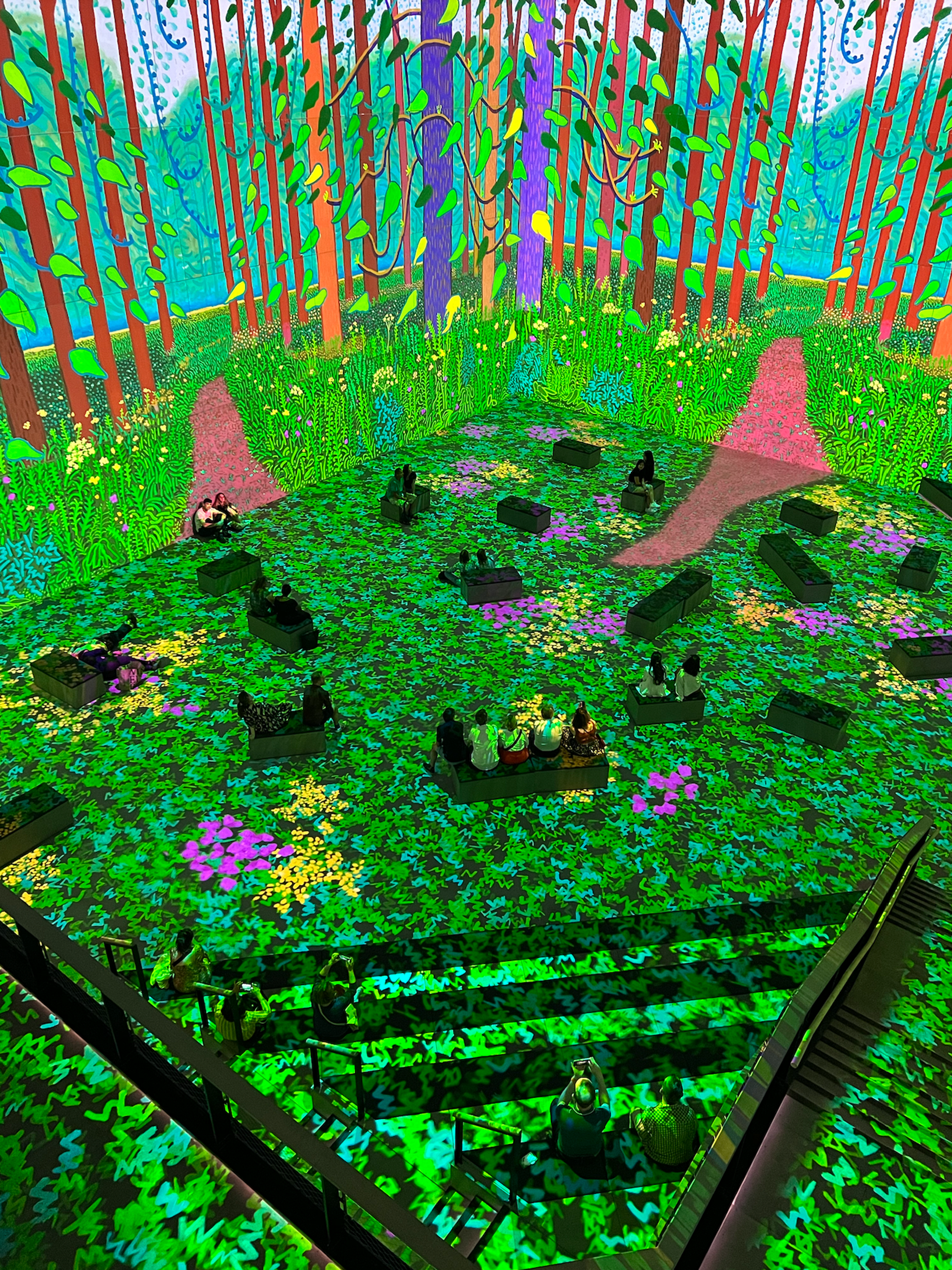David Hockney : Bigger & Closer (not smaller & further away) – une image prise à l'intérieur de l'exposition, montrant une œuvre de David Hockney sur des écrans monumentaux