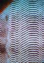 Tauba Auerbach: Static 19 - Signed Print