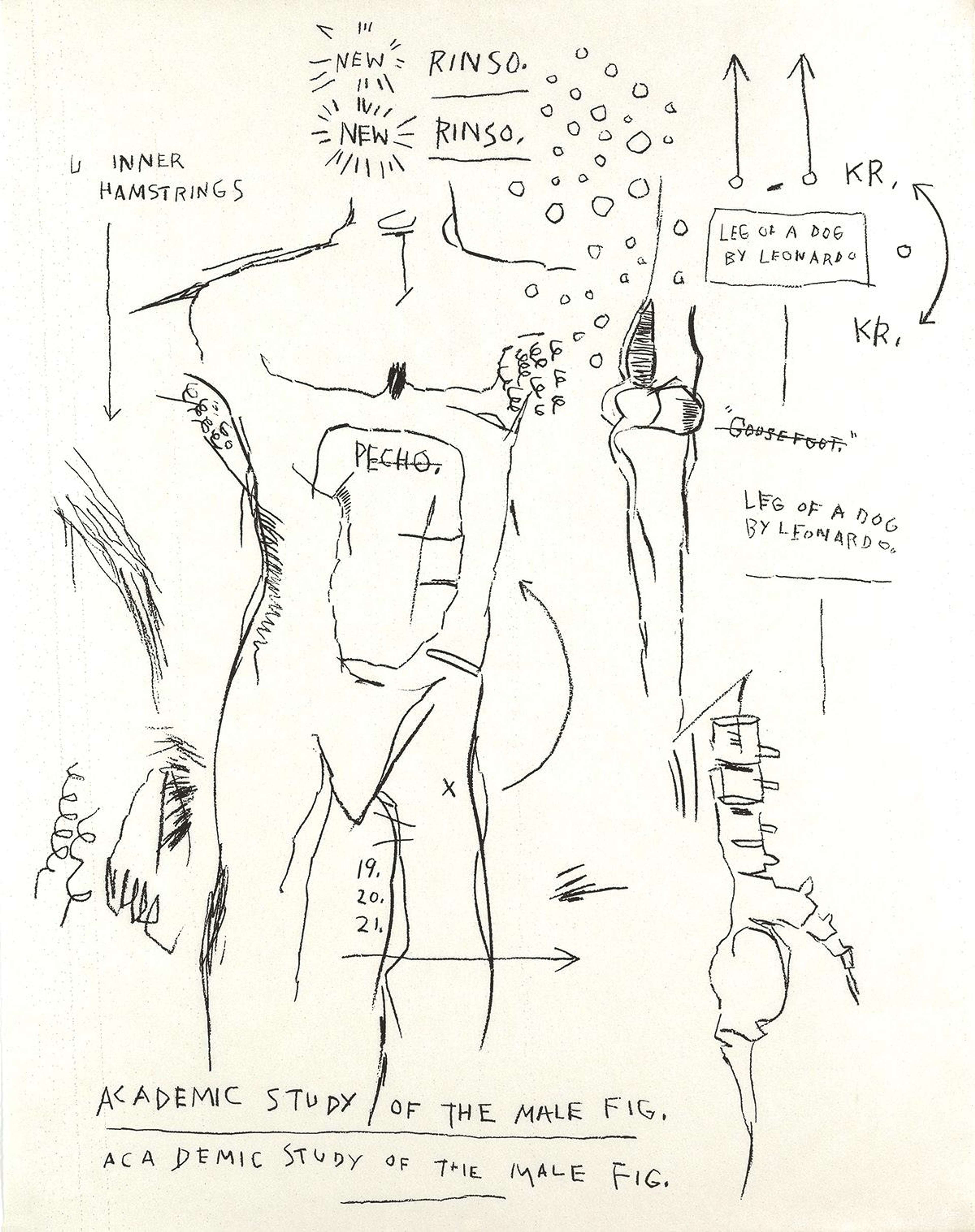 Anatomical sketches of a male torso surrounded by sketches of other parts of the anatomy such as bones 