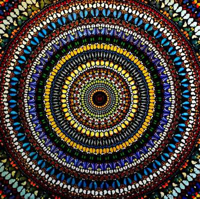 Covenant - Signed Print by Damien Hirst 2013 - MyArtBroker