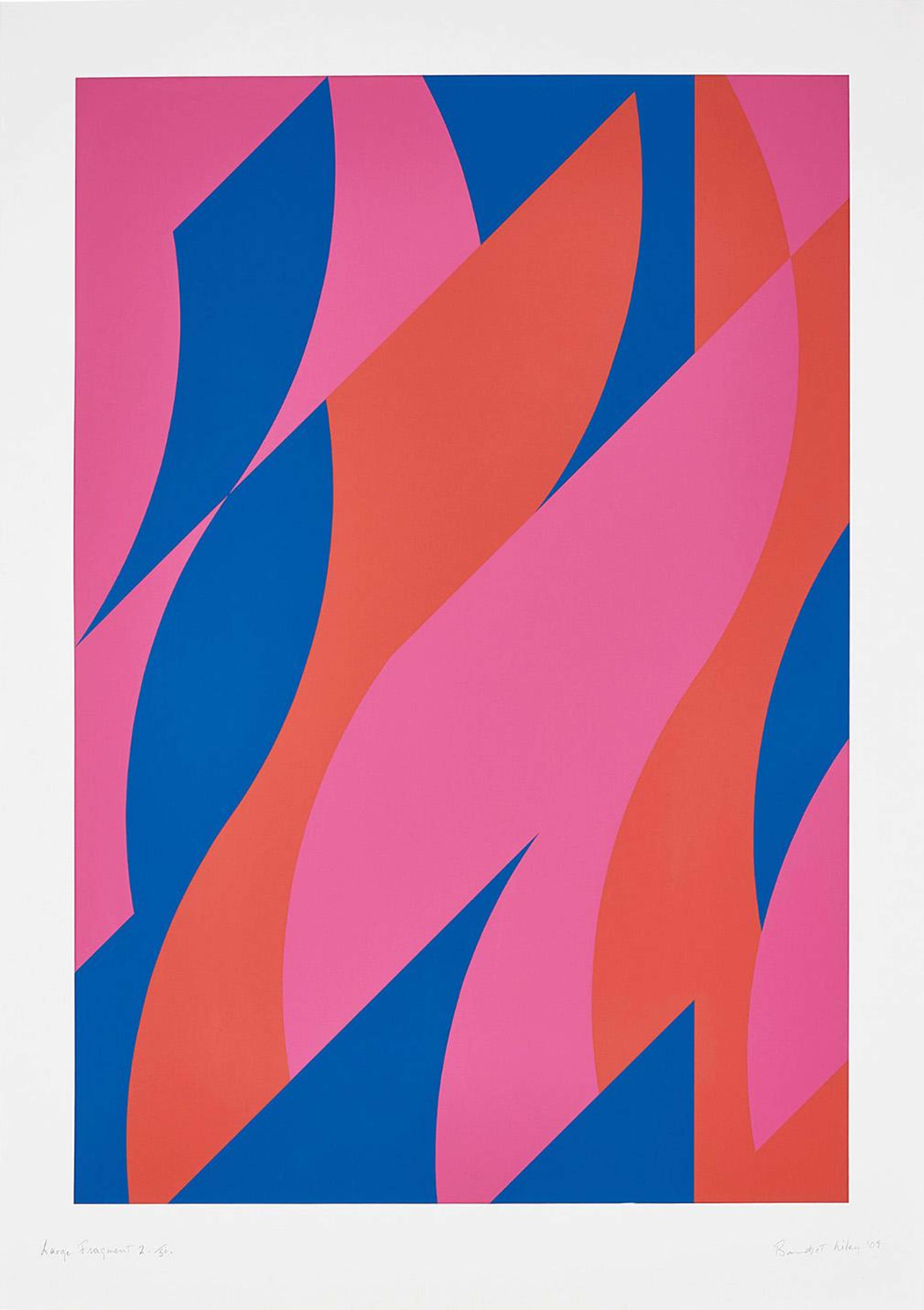 Large Fragment 2 de Bridget Riley