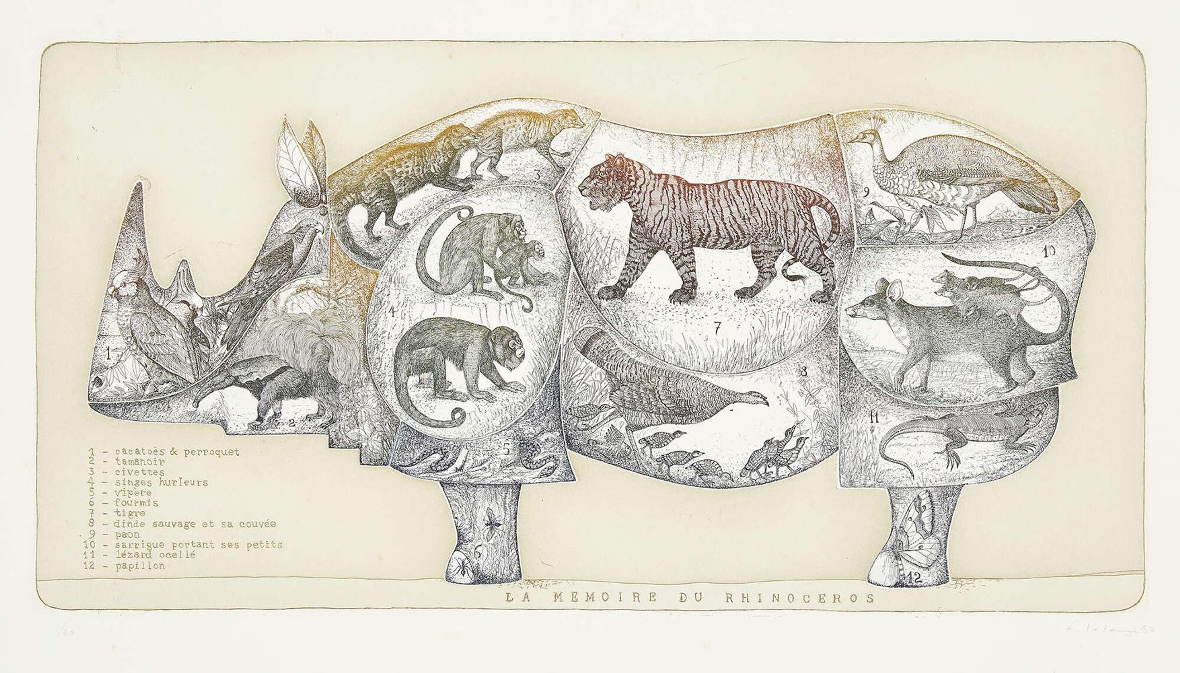 Un contour de rhinocéros de profil. Son corps est divisé en sections numérotées, et à l'intérieur de chaque section se trouve une illustration détaillée d'un autre animal, notamment un tigre, un singe, un perroquet et un paon. Les illustrations sont principalement en noir et blanc. Une légende se trouve en bas à gauche de l'estampe, détaillant quel animal se trouve dans chaque section numérotée.