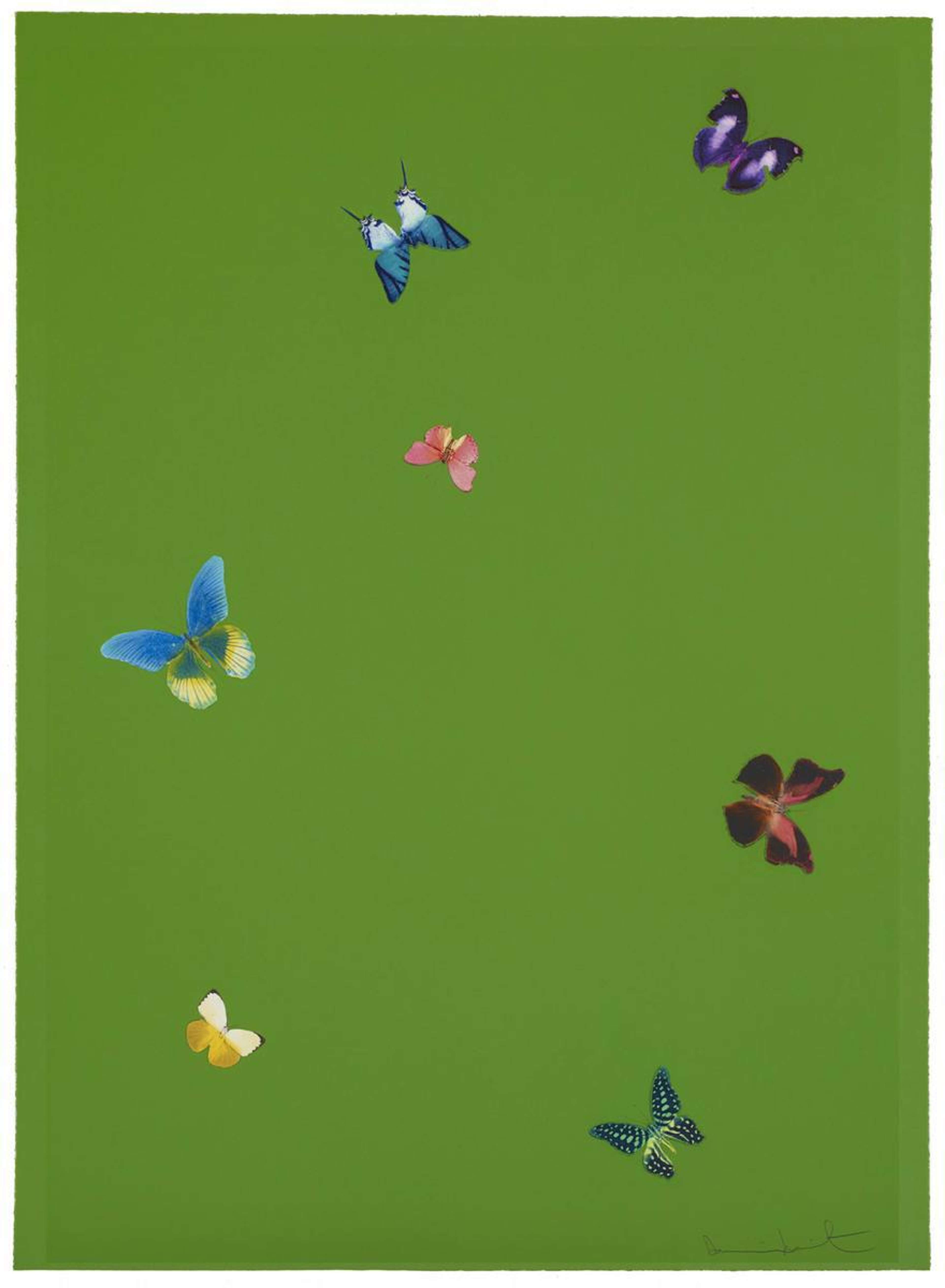 Your Taste - Signed Print by Damien Hirst 2015 - MyArtBroker