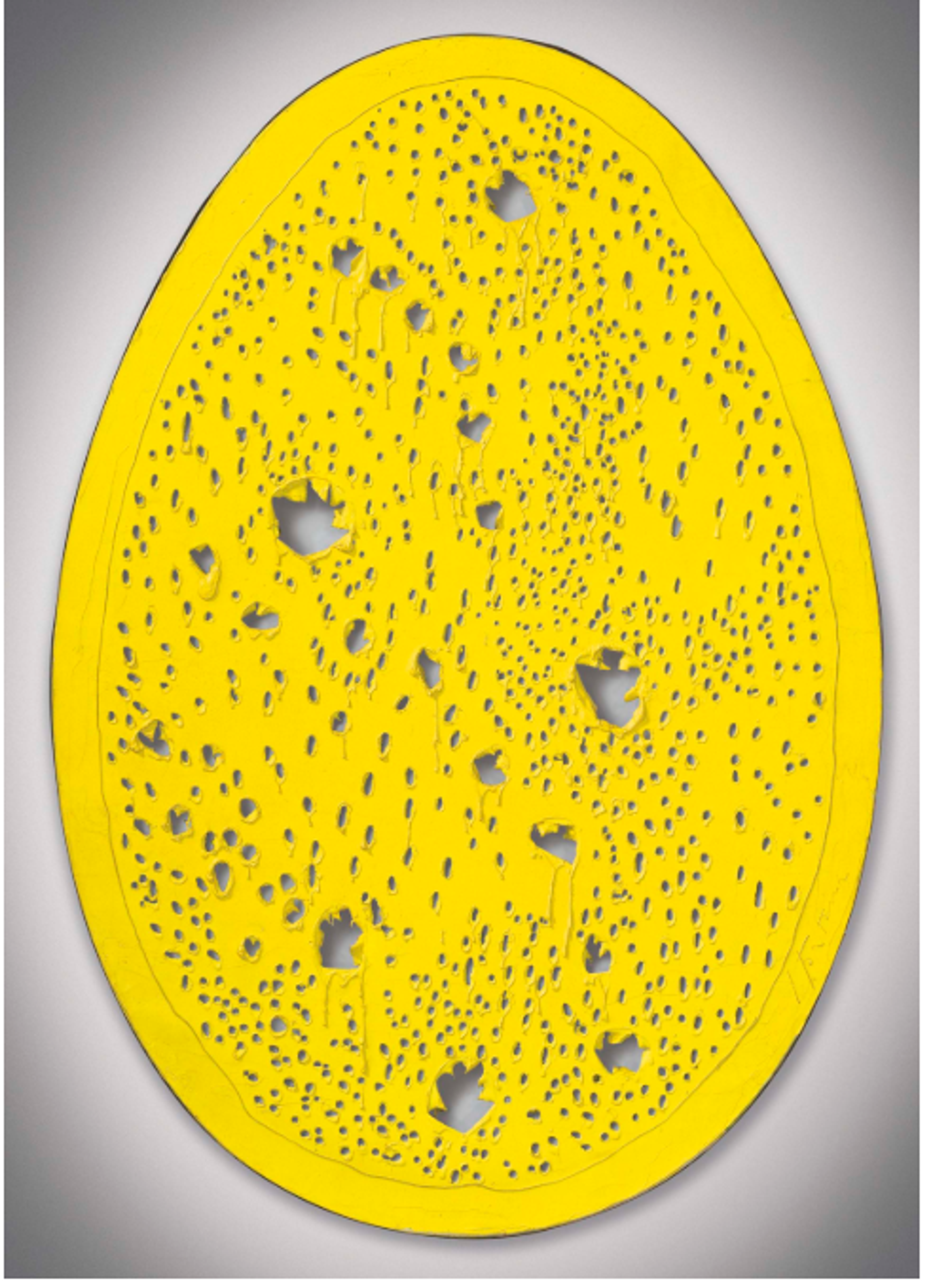 A yellow egg-shaped canvas decorated with tiny perforations. Some irregular lines of medium-sized perforations, and some randomly spaced larger perforations, add spontaneity to the composition.