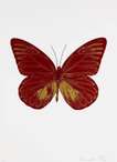 The Souls I (chilli red, oriental gold) - Signed Print