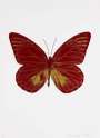 Damien Hirst: The Souls I (chilli red, oriental gold) - Signed Print