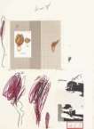 Plate IX (from Natural History Part I - Mushrooms) - Signed Print